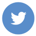 Twitter Logo 75 pixels