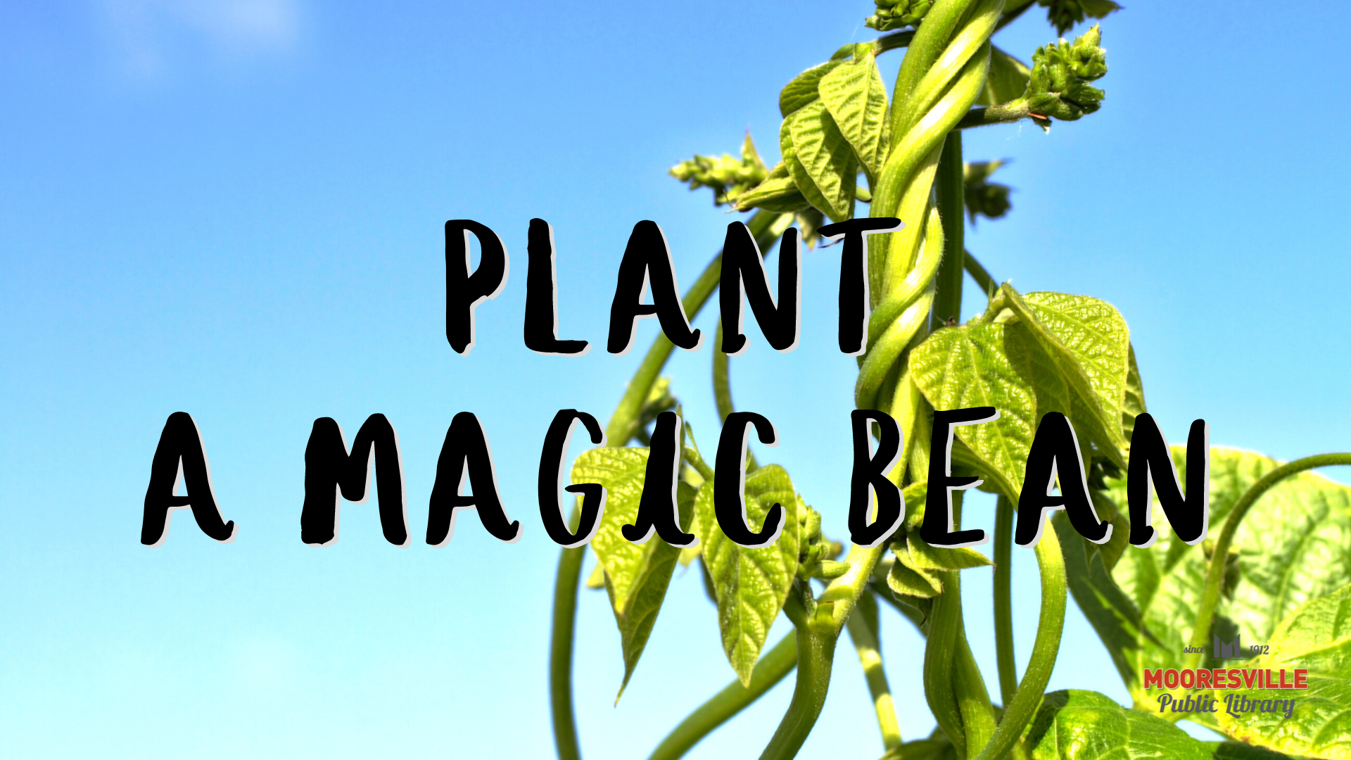 Text read Plant a Magic Bean on a picture of a beanstalk against blue sky.
